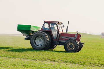 Obraz premium Farmer in tractor fertilizing wheat field at spring with npk