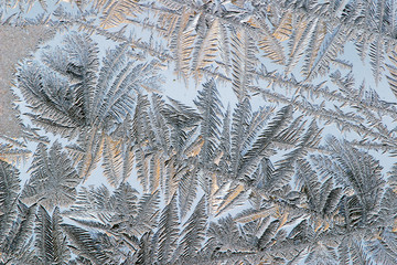 fabulous patterns of frost