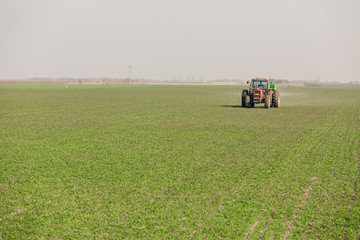 Fototapeta premium Farmer in tractor fertilizing wheat field at spring with npk