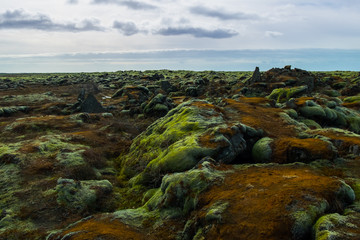 Mossy lava field near City of Vik, Iceland