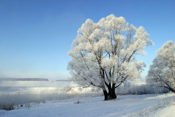 Obraz na płótnie Canvas winter morning on the river Zai
