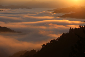 野迫川村の雲海と朝焼け