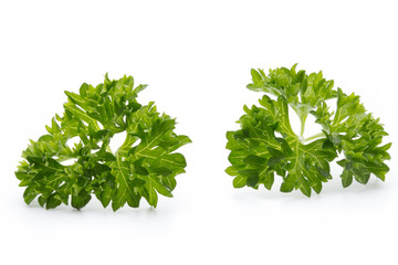 Parsley herb isolated on white background.