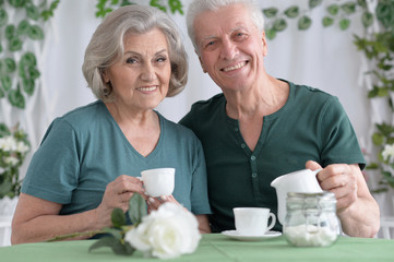 Senior couple drinking tea 