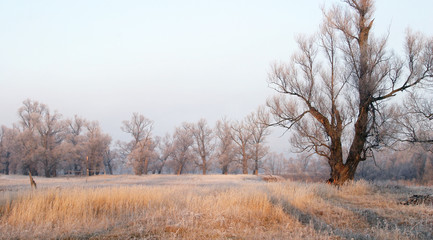 The arrival of winter