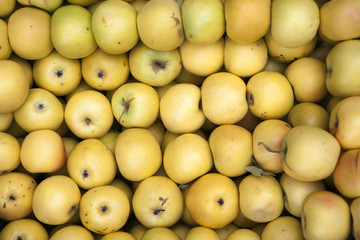 Yellow Apple Background, shallow depth of field.