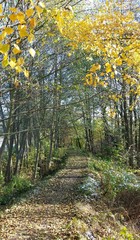 Auf sonnigen Wegen im Herbst