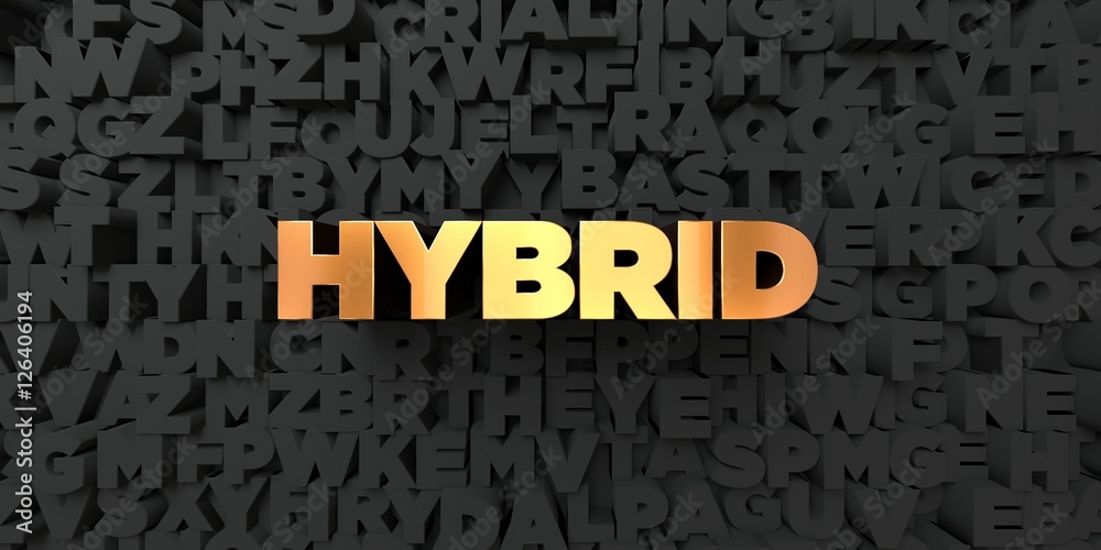 Fototapete hybrid - gold text on black background - 3d rendered royalty free stock picture. this image can be u