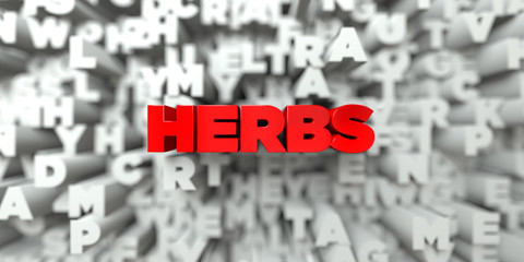 HERBS -  Red text on typography background - 3D rendered royalty free stock image. This image can be used for an online website banner ad or a print postcard.