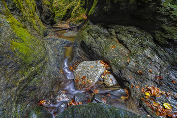 Landscape from Valea lui Stan gorge in Romania