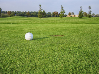Ball on green