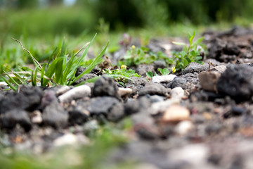 Grass and rocks closeup