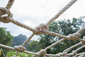 Many Coil of rope with nature background.