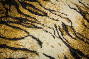 tiger skin