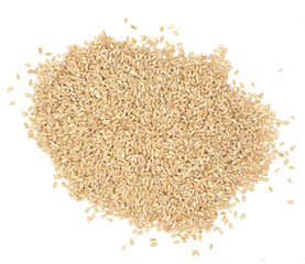 Grains of wheat on white