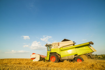 Obraz premium Combine harvester in action on wheat field