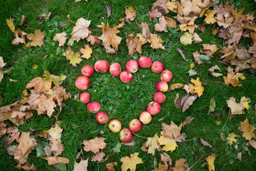apples in heart shape and autumn leaves on grass