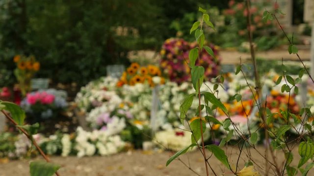 Big pile of colorful flowers on grave, defocused.
