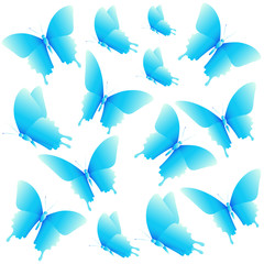 color butterflies,isolated on a white