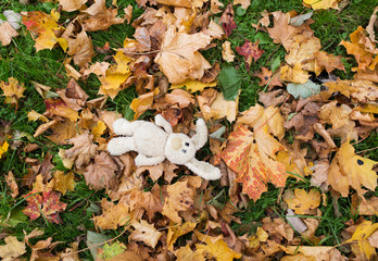 toy rabbit in fallen autumn leaves