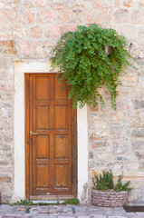 Fototapeta na wymiar Retro style entrance, wooden door in stone wall with vegetation.