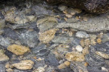 stones on the white background