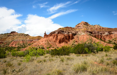 Fototapeta premium Palo Duro Canyon State Park