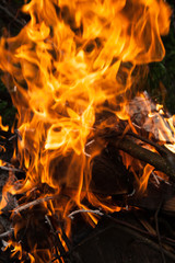 Close up details of wood burning on fire.