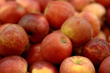 Fototapeta na wymiar A lot of red ripe apples close-up.