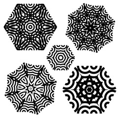 set of elements for design. Stylized flowers, mandala.