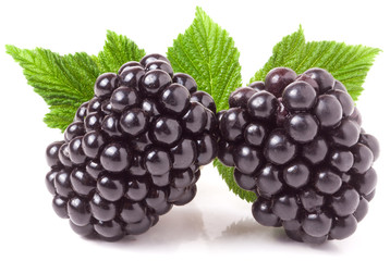 blackberry with leaf isolated on a white background closeup