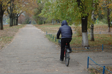 Fototapeta premium A man rides a bicycle in a park in autumn - rear view.