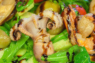 Seafood Salad with baby octopus, shrimp, mussels, scallops, tomatoes, arugula