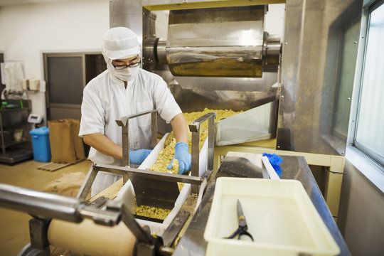 Person working in soba noodles factory at conveyor belt