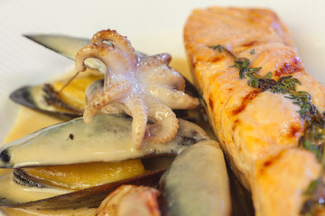 Grilled Salmon with fresh salad
