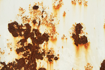 Corroded white metal background. Metal background with rusted spots.