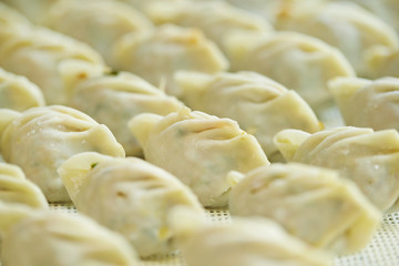 Dumplings 