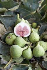 Ripe figs