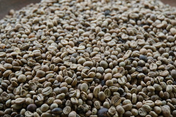 Kopi Luwak, Rohkaffee