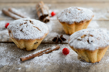 Christmas winter food composition: cakes in icing sugar with cranberry and cinnamon