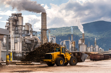 Industrial scene. Excavator ,smokestack,silos and rail wagon of lumber factory.