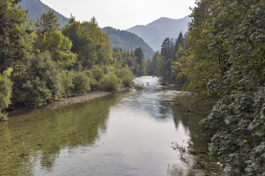 Sava Bohinjka river with clean water in Slovenia