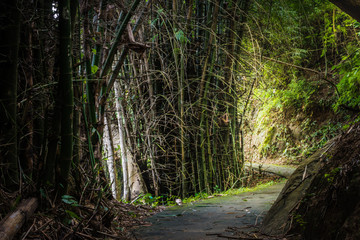 Obraz premium Walkway the beautiful waterfall in forest at Sai Yok National Park - A beautiful waterfall on the River Kwai. Kanchanaburi, Thailand
