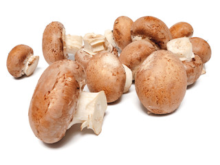Champignons