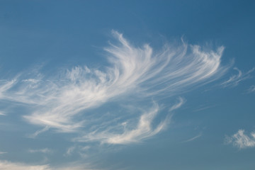 cirrus white clouds