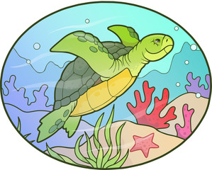 sea turtle
