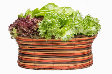 Fresh vegetables in basket