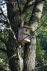 Nistkasten im Wald