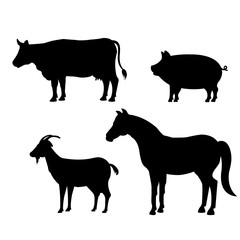 animals farm domestic icon vector illustration design