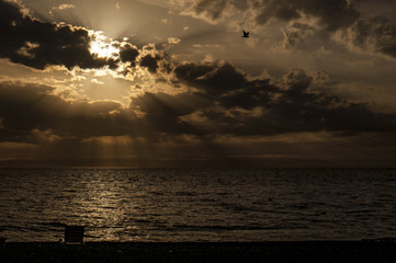 sea decline